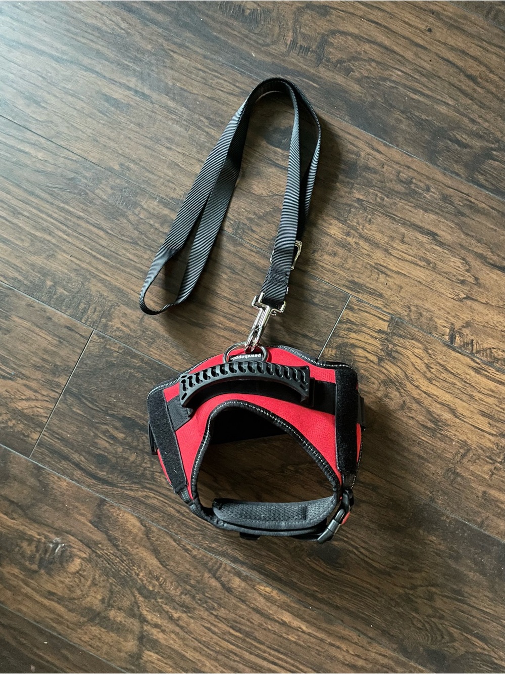 Red and Black Padded No-Pull Dog Harness with Leash